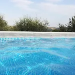 Sotto L'ulivo