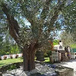 Sotto L'ulivo 3* Mondavio