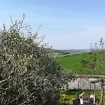 Sotto L'ulivo 3*