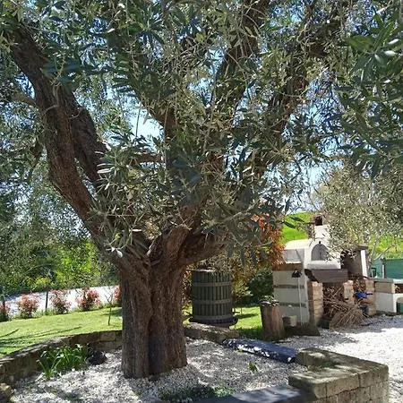 Sotto L'ulivo 3* Mondavio