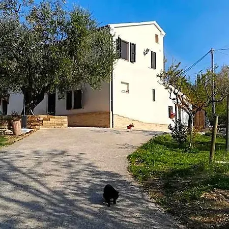 Sotto L'ulivo Mondavio