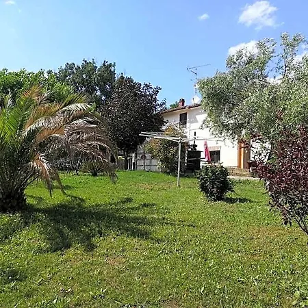 Sotto L'ulivo