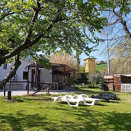 Frühstückspension Sotto L'ulivo Mondavio