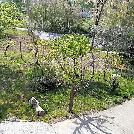 Sotto L'ulivo 3*