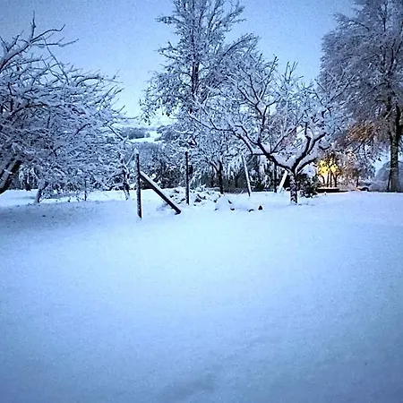 Frühstückspension Sotto L'ulivo 3*