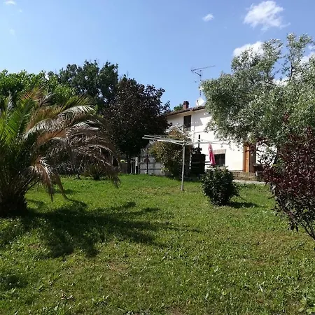 Sotto L'ulivo