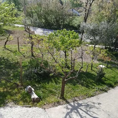 Bed & Breakfast Sotto L'ulivo Mondavio