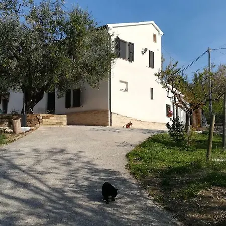 Bed & Breakfast Sotto L'ulivo Mondavio