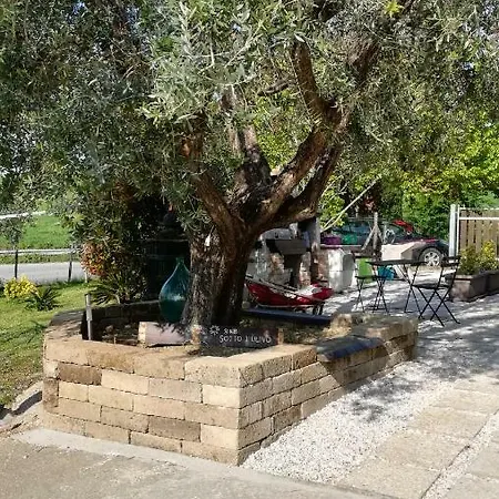 Sotto L'ulivo