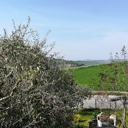 Sotto L'ulivo *