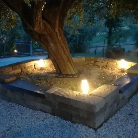Bed & Breakfast Sotto L'ulivo 3*